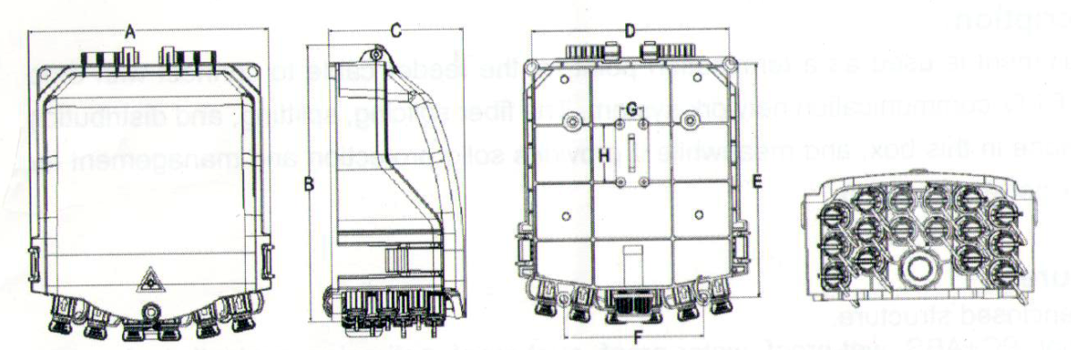 الصورة 2