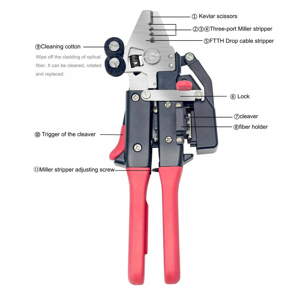 متجرد الألياف