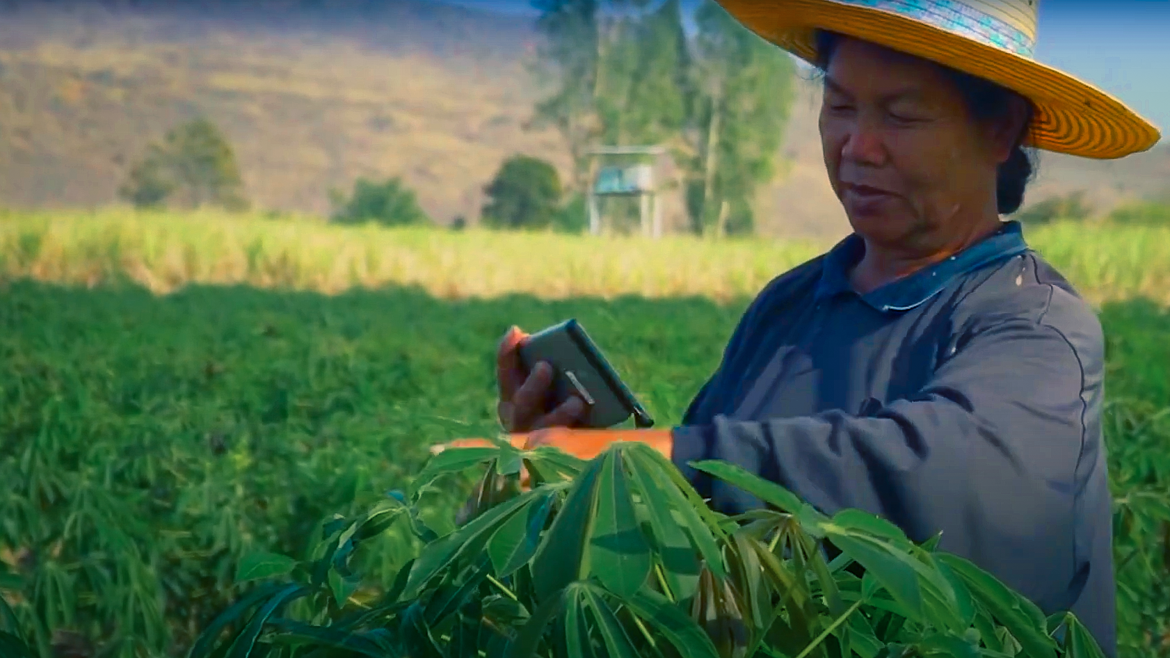 استخدام شبكات الألياف الضوئية في المناطق الريفية