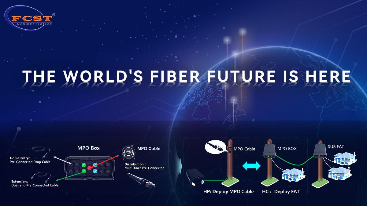 الألياف في كل مكان